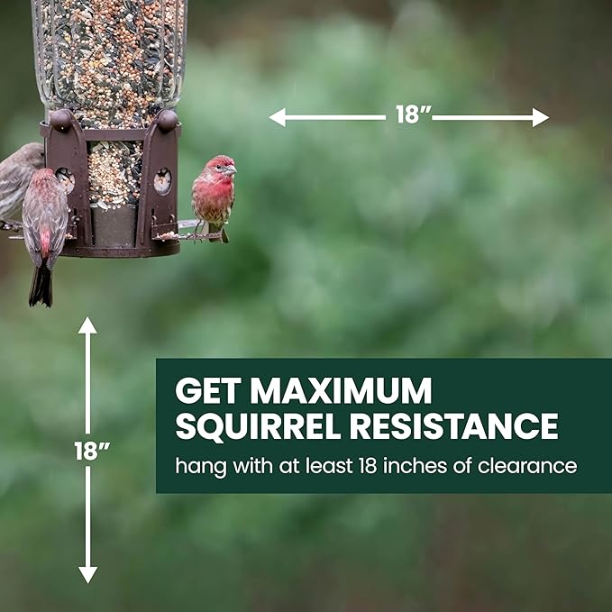 Perky-Pet 334-1SR Squirrel-Be-Gone Max Large Wild Bird Feeder with Flexports, Squirrel Proof Bird Feeder with Weight-Activated Perches - 4LB Seed Capacity