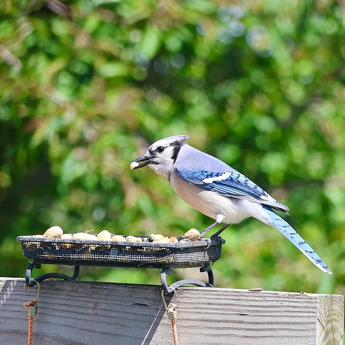 Wildlife and Bird Feeder, Deck and Ground Tray Feeder for Birds, Squirrels, Chipmunks, and Rabbits