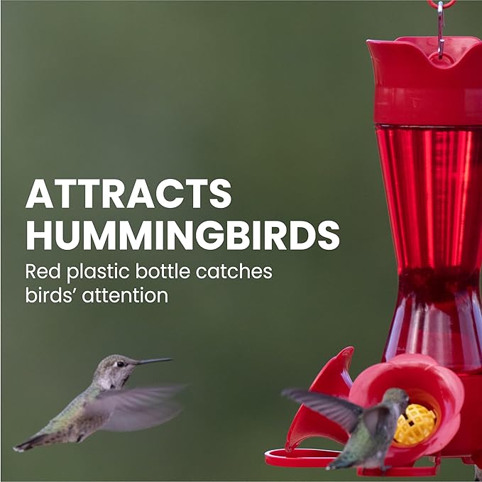 Perky-Pet Red Hummingbird Feeder - Pinch Waist Design for Easy Feeding - Humming bird Feeder for Outdoors - 403CP - 8 oz Capacity