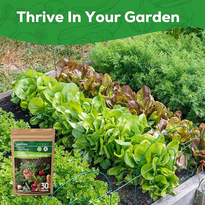 30 Heirloom Vegetable Seeds for Planting, 12,000+ Garden Seeds - Non-GMO Vegetable, Herb, Fruit Seeds - Survival Seed Vault with Tomato, Basil, Lettuce, Bean, Pepper, Squash and More
