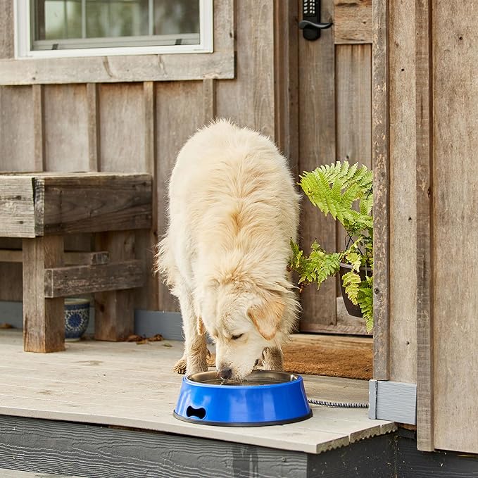 Farm Innovators Signature Series 3 Quart 40 Watt Electric Heated Pet Water Bowl with Stainless Steel Insert, Thermostatic Control, (3 Pack)