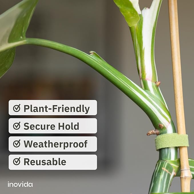 Hook & Loop Plant Ties: 32 ft Self-Adhesive, Extra-Strong Garden Tape for Weatherproof Plant Support – Reusable – Support for Climbing Plants – Indoor and Outdoor Gardening by Inovida