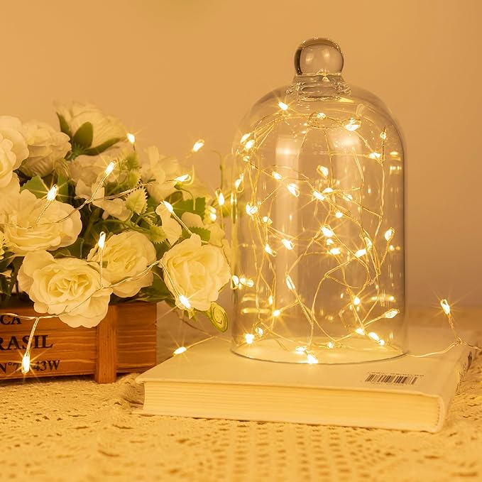 Fairy Lights Plug in, 100FT 1000LED Firecracker String Lights Waterproof Silver Wire, for Bedroom/DIY/Party/Garden/Porch/Patio/Backyard/Christmas Tree, with Remote Timer & 8 Modes, Warm White