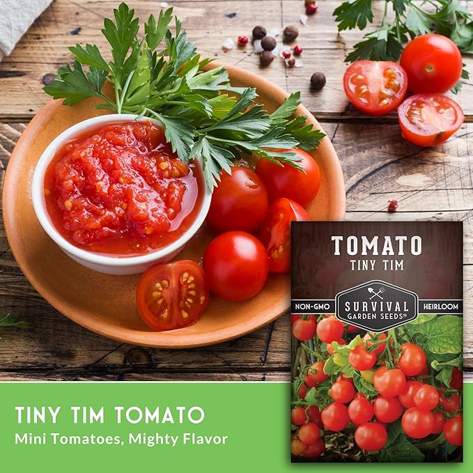 Tiny Tim Tomato Seeds - Dwarf Cherry Tomatoes for Planting Indoors or Patio, Compact Heirloom Variety for Containers, High Yield, Non-GMO - Survival Garden Seeds (5 Packs)
