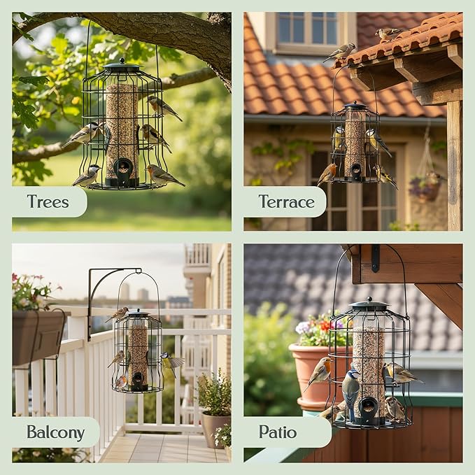 Hearts&Birds Squirrel Proof Bird Feeder Outdoors Hanging with Anti Collision Window Stickers for Birds - 360° Feeding Perch with Large Capacity for Wren Finches Chickadees Cardinal Wild Birds