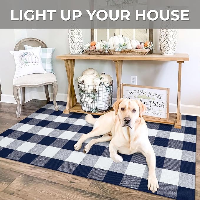 IOHOUZE Buffalo Plaid Checkered Rug 3x5 Ft Front Door Mats, Washable Area Rugs for Front Porch Decor, Spring Summer Welcome Mats Outdoor, Navy White Rug for Farmhouse/Entryway/Home Entrance
