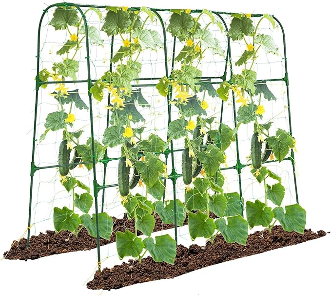 Garden Arch Trellis for Climbing Plants Outdoor, 50x48 inch Cucumber Trellis Raised Bed, Rustproof Metal Climbing Plant Support Vegetable Vine Flower Fruits, with Netting, Lightweight, Green