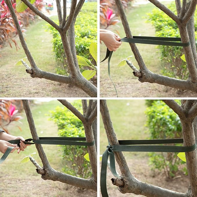 Shappy Tree Tie Strap Garden Webbing Strap Garden Plant Supports Tree Tie Staking for Outdoor Use, Plant Supports, Grafting, Straightening Supplies(Dark Green,443 Feet x 1 Inch)