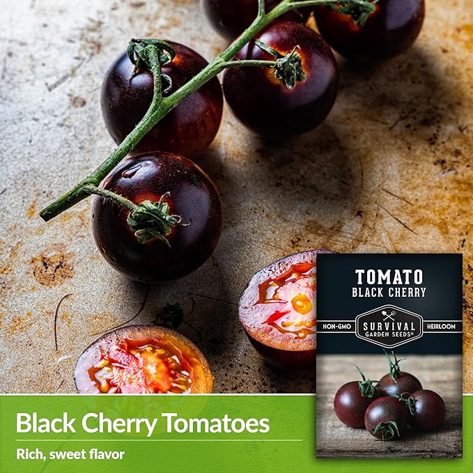 Black Cherry Tomato Seeds for Planting – Indeterminate Heirloom Non-GMO Variety – Grow High Yields of Deep Purple-Black Cherry Tomatoes with Sweet Rich Flavor – Survival Garden Seeds (2 Packs)