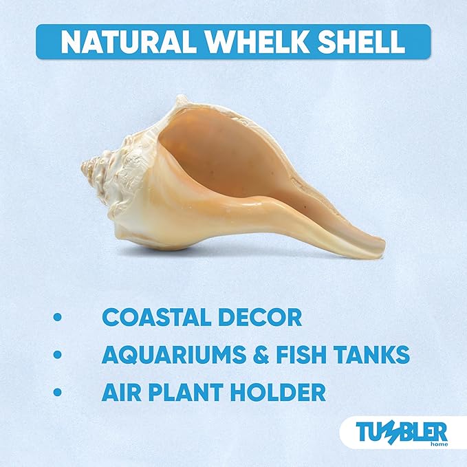 Tumbler Home Large Conch Sea Shells for Decorating or Fish Tank, Coastal & Nautical Decor, Air Plant Holder, Aquarium Ornaments, Big Sea Shell, Decorative Seashells, Beach Party Decor (Whelk)