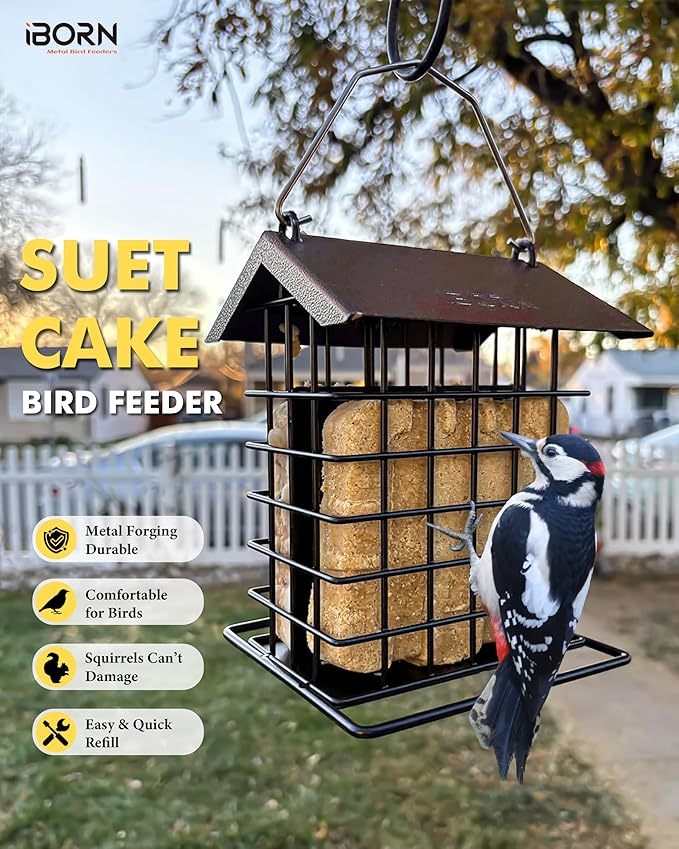 iBorn Suet Feeder for Outside Hanging,Suet Bird Feeders for Outdoors,Suet Holder With Squirrel Proof Hanger Hook,Suet Cage Bird Feeder,Woodpecker Feeder,Weatherproof Metal Roof,All Metal,1 Pack,Coffee