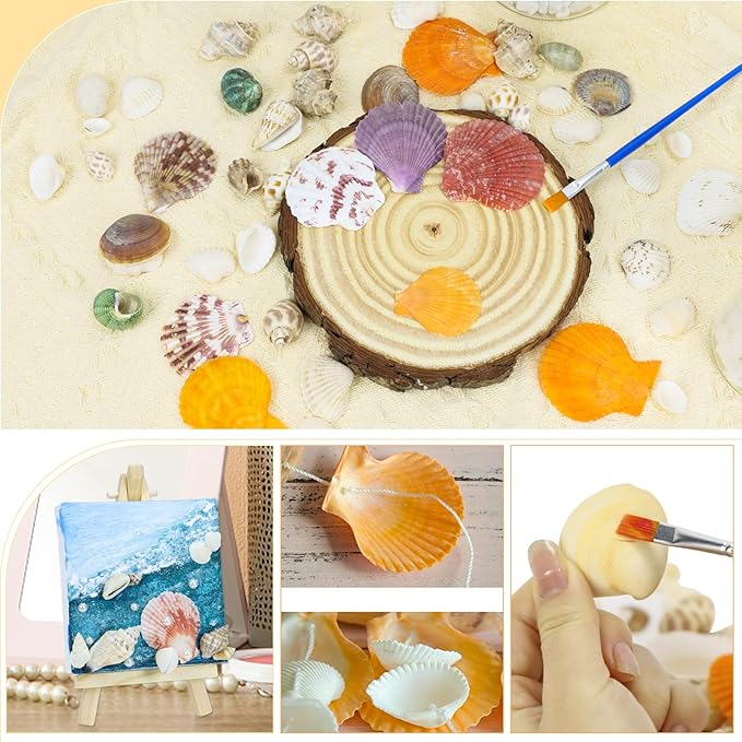 Mixed Sea Shells, 100+ Pcs Beach Seashells Starfish, Various Sizes Ocean Seashells for Fish Tank Vase Fillers, Beach Theme Party Wedding Decor, Candle Making, DIY Crafts