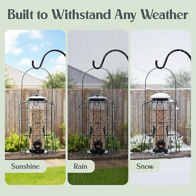 Hearts&Birds Squirrel Proof Bird Feeder Outdoors Hanging with Anti Collision Window Stickers for Birds - 360° Feeding Perch with Large Capacity for Wren Finches Chickadees Cardinal Wild Birds