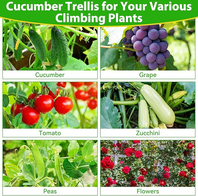 Garden Cucumber Trellis for Climbing Plants Outdoor- 50x48 Inch U-Shaped Cucumber Trellis for Raised Bed, Metal Arch Plant Trellis for Outdoor Vegetable Grape Pea Bean Vine Squash