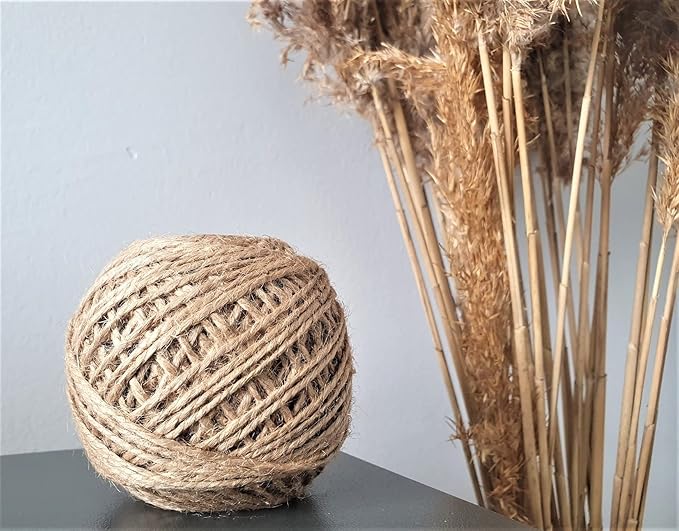 KIS Premium Colurful Natural Jute Twine 328 Feet 2mm Green - Smell Free 3 Strand, DIY Projects, Crafts, Decoration, Hobby, PET Friendly, Gardening Yarn - String - Rope…