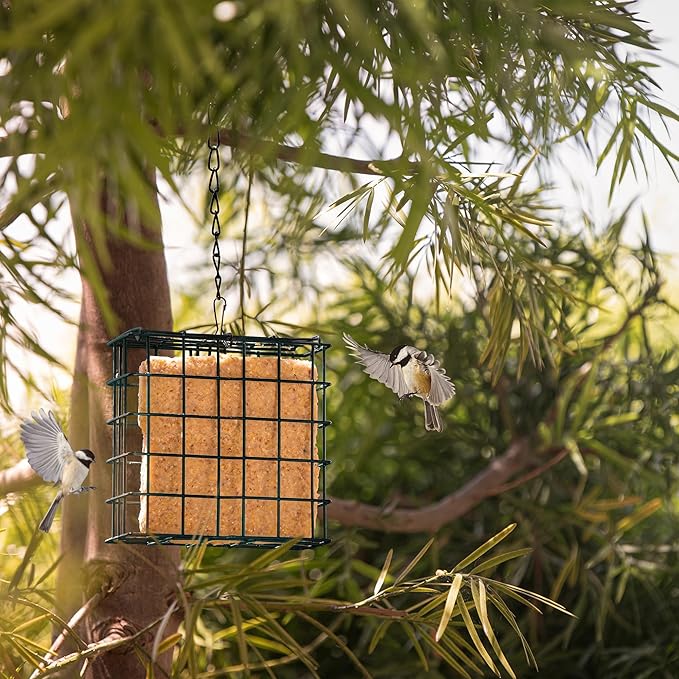 MEKKAPRO Suet Feeder for Outside Hanging with Metal Chain, Single Capacity Suet Holder, Bird Feed Recommended, Bird Feeder Ideal for Clinging Birds, Woodpeckers, Nuthatches (Single)