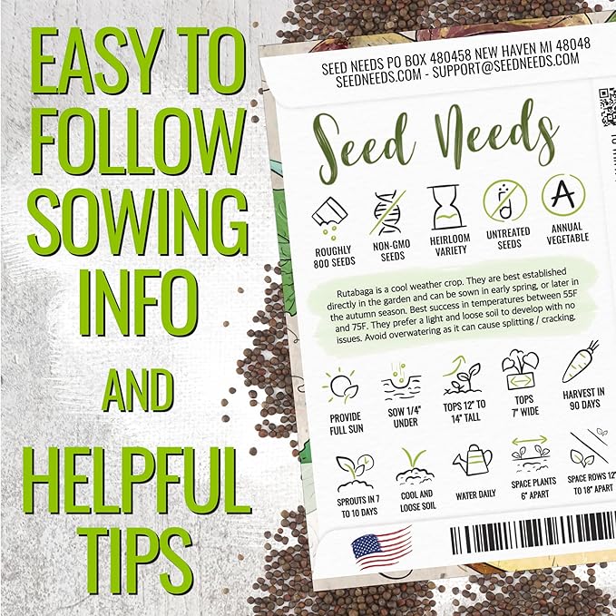 Seed Needs Rutabaga Seeds for Planting Purple Top Rutabagas - Non-GMO Heirloom & Open Pollinated Vegetable Seeds to Plant an Outdoor Home Grown Veggie Garden (2 Packs)