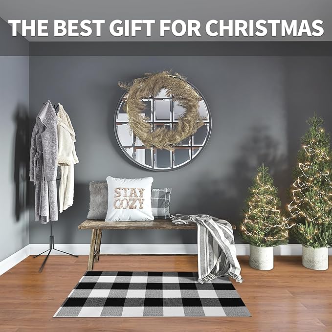 IOHOUZE Buffalo Plaid Checkered Rug 2x3 Ft Front Door Mats, Washable Area Rugs for Front Porch Decor, Spring Summer Welcome Mats Outdoor, Black White Rug for Farmhouse/Entryway/Home Entrance