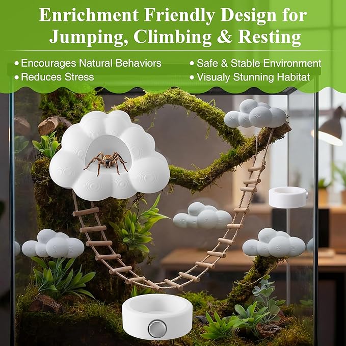 Jumping Spider Accessories Set with Magnetic Cloud Platforms & Feeder Bowls, Jumping Spider Enclosure Accessories for Climbing, Hiding & Feeding, 14 Pcs Magnets, Cute Spiders Habitat Decor