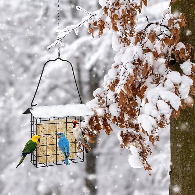 2Pcs Suet Bird Feeder for Outside Hanging, Suet Cakes Cage Bird Feeder for Outdoors with Metal Roof and Adjustable Chain Hook Hanging for Garden Yard Outside