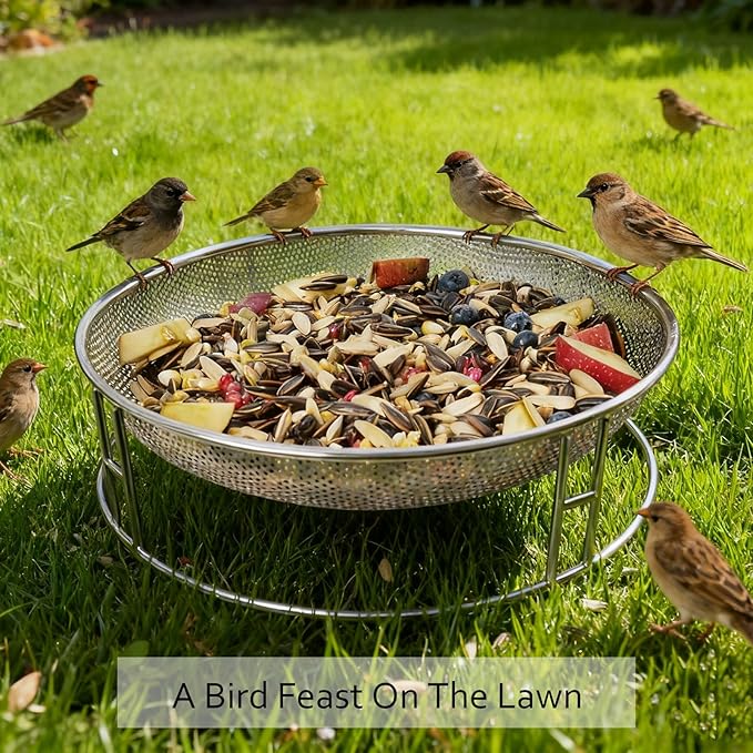 13-Inch Ground Bird Feeder, Stainless Steel Ground Feeding Platform for Wild Birds, Squirrels, Rabbits, Chicken with Additional Birdseed Feeder Tray, Attract Creatures for Backyard, Patio