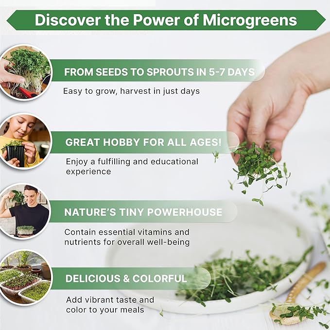 Organo Republic Radish Sprouting & Microgreens Seeds - Non-GMO, Heirloom Sprout Seeds Kit, 1lb Resealable Bag for & Growing Microgreens in Soil, Coconut Coir, Aerogarden & Hydroponic System.