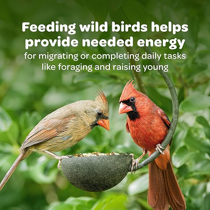 Kaytee Nyjer Wild Bird Food Seed Finch Twin Pack Sock Instant Feeder, 26 Ounce