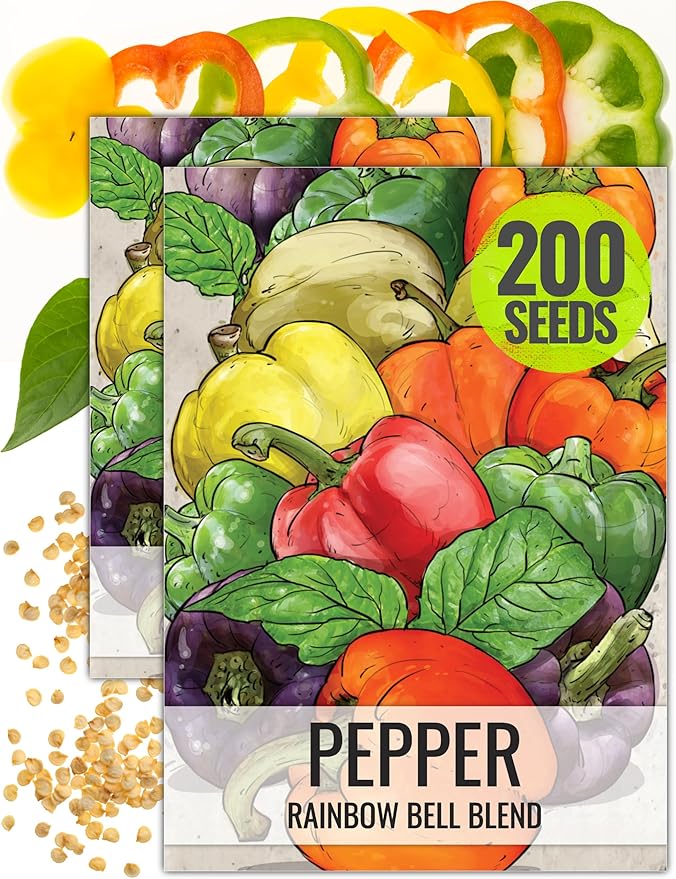 Seed Needs Rainbow Bell Pepper Seeds for Planting - Non-GMO, Heirloom & Untreated - Organically Grow a Home Grown Garden Outdoors for Healthy Vegetables (2 Packs)