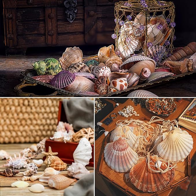 Fangoo 1.5 LB Mixed Sea Shells, 130+ PCS Beach Seashells Starfish Oyster Shells Various Sizes Ocean Seashells for Fish Tank Vase Fillers Beach Theme Party Wedding Decor DIY Crafts Home Decorations