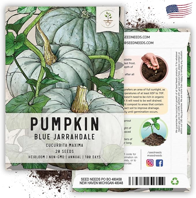 Seed Needs Pumpkin Seeds for Planting Blue Jarrahdale Pumpkins - Non-GMO Heirloom & Untreated Cucurbita Maxima Seed to Plant an Outdoor Home Grown Vegetable Garden (5 Packs)