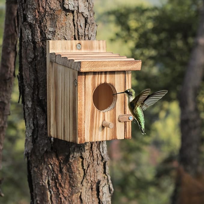 Humming Bird Houses for Outdoor Hanging Small Bird Nesting Box - Wood Nest for Robin, Hummingbird, Parakeet, Bluebird - Perch House for Outdoors Birdhouse Birds - Made of Pine Wood