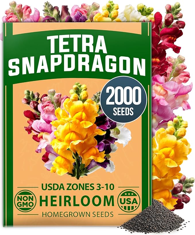 HOME GROWN Snapdragon Seeds Tetra (0.3g) – 2000 Tall Flower Seeds to Plant Outside - Vibrant Perennial Snapdragons Mixed Colors - Cut Flower Seeds for Gardens, Borders, Bouquets (Antirrhinum majus)
