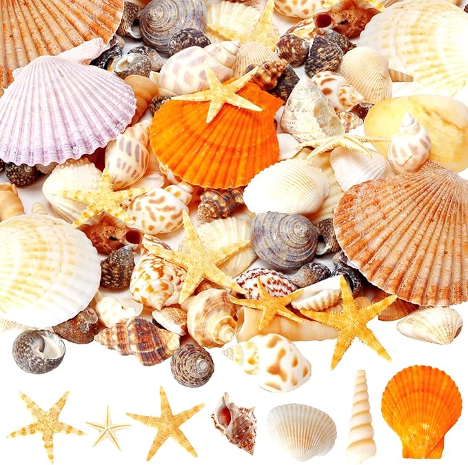Mixed Sea Shells, 80+ Pcs Beach Seashells Starfish, Various Sizes Ocean Seashells for Fish Tank Vase Fillers, Beach Theme Party Wedding Decor, Candle Making, DIY Crafts