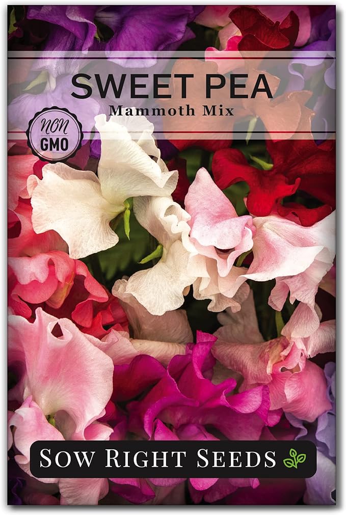 Sow Right Seeds - Mammoth Mix Sweet Pea Seeds for Planting - Beautiful Flowers to Plant in Your Garden - Non-GMO Heirloom Packet - Fragrant Colorful Blooms for Bouquets - Wonderful Gardening Gift (1)