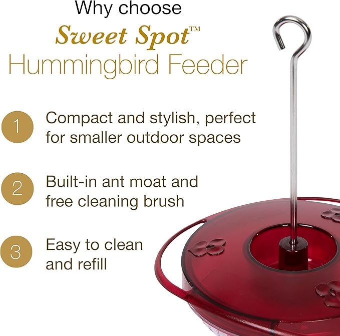 Small Hummingbird Feeder – Jacobi Jayne® Sweet Spot™ Hummingbird Feeder – Best Humming Bird Feeder, Small Hanging Ant-Proof Saucer Feeder with Ant Moat, Easy to Clean, Ideal for Outdoors