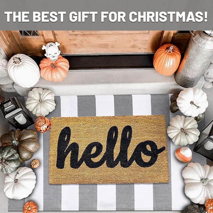 IOHOUZE Grey White Striped Rug -27.5" X 43" Front Door Mats Outdoor,Washable Rug for Front Porch Decor,Spring Summer Welcome Mats Outdoor Indoor, Doormat for Farmhouse/Entryway/Home Entrance