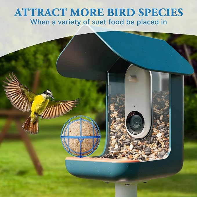 Metal Suet Ball Holder for Bird Buddy Smart Feeders & Others with 5mm Screw Hole for Accessory, Compatible with BirdBuddy Feeders, Durable Add-on Accessory (Blue)