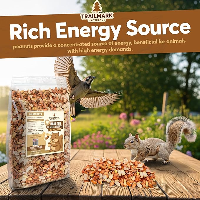1 LB - Raw Shelled Peanuts For Squirrels, Out of Shell Peanuts For Birds and Wildlife- Squirrel Food, Wild Bird Seed - Grown in The USA