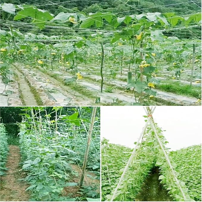 White Trellis Netting 5x100 ft Heavy Duty Garden Trellis Netting Polypropylene Plant Support Garden Net for Climbing Vegetables Fruits Flowers