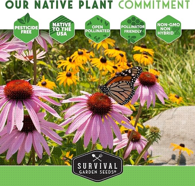 Self-Heal Seeds for Planting - Prunella Vulgaris (All-Heal, Selfheal) Hardy Perennial Ground Cover & Pollinator Wildflower, Non-GMO Heirloom Herb - Survival Garden Seeds (1 Pack)