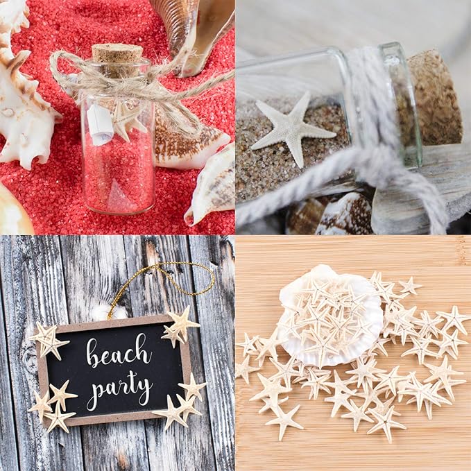Super Z Outlet Tiny Miniature Fairy Garden Beach Critter Starfish Marine Life Collection for Arts & Crafts Projects, Decorations, Party Favors, Invitations - 90 Pieces