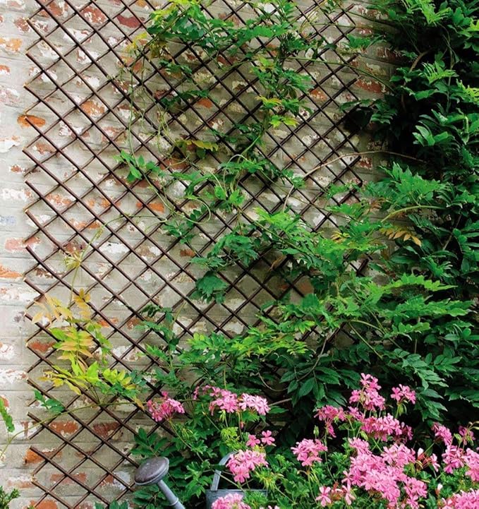 Nature Willow Trellis Expandable Plant Support Plant Climbing Lattices Trellis Willow Expandable Trellis Fence for Climbing Plants Support 36x92 Inch,Double Panel (2, Willow Wicker Fence)