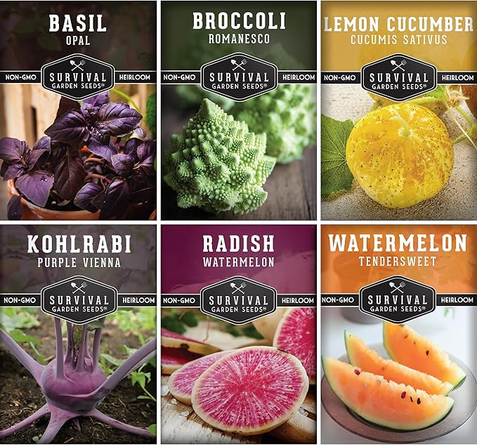Rare Exotic Vegetable & Fruit Seeds for Planting – 6 Variety Heirloom Pack with Romanesco, Lemon Cucumber, Watermelon Radish & More by Survival Garden Seeds