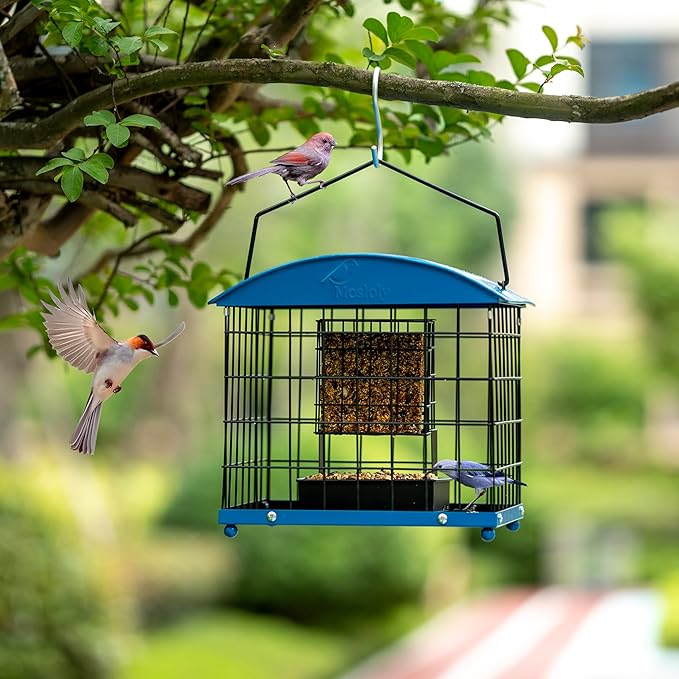 Caged Suet Bird Feeders Squirrel-Proof, Dual-Purpose Suet &Seed Wild Bird Feeders with Tray, Starling-Proof Metal Caged Bird Feeders Outdoors Hanging, 2 Suet Cakes+1lb Seed Capacity, Blue