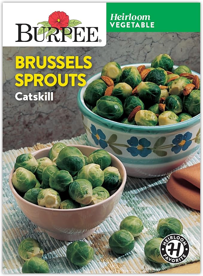 Burpee Heirloom Catskill Brussels Sprouts Seeds - Compact, High-Yielding Variety