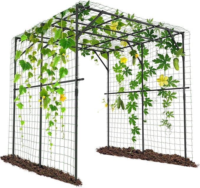 Tall Garden Arch Trellis for Climbing Plants, 79in Tall Metal Plant Support Trellis Archway for Climbing Plant Vegetables Cucumber, Outdoor Yard Lawn Garden Arch Tunnel Trellis