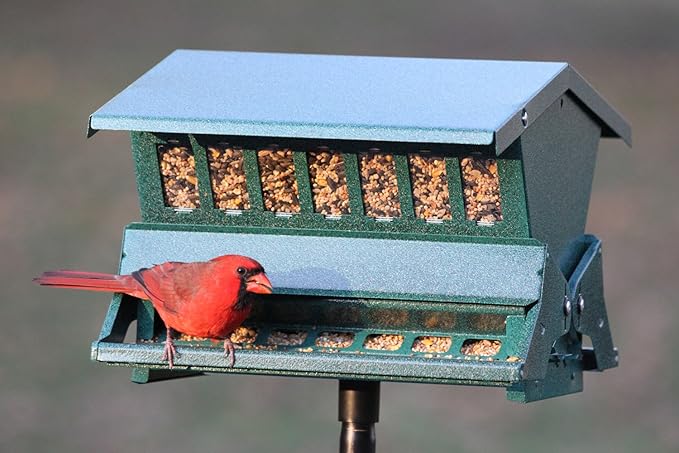 Woodlink Absolute II Squirrel Resistant Bird Feeder Model 7536, 12 lbs, Model:301045