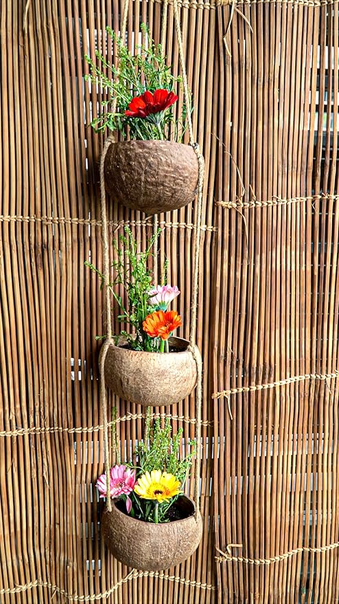 Rainforest Bowls Set of 2 3-Tier Hanging Coconut Planters w/Drainage - Perfect for Succulents, Flowers, Small Plants, Indoor & Outdoor Gardens- Handcarved by Artisans, Eco-Friendly & Sustainable