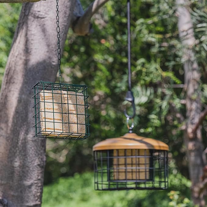 MEKKAPRO Suet Feeder for Outside Hanging with Metal Chain, Single Capacity Suet Holder, Bird Feed Recommended, Bird Feeder Ideal for Clinging Birds, Woodpeckers, Nuthatches (Single)