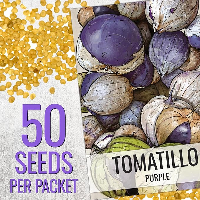 Seed Needs Purple Tomatillo Seeds for Planting - Non-GMO Heirloom & Untreated Annual Veggie Seed to Plant a Home Grown Vegetable Garden Outdoors (2 Packs)